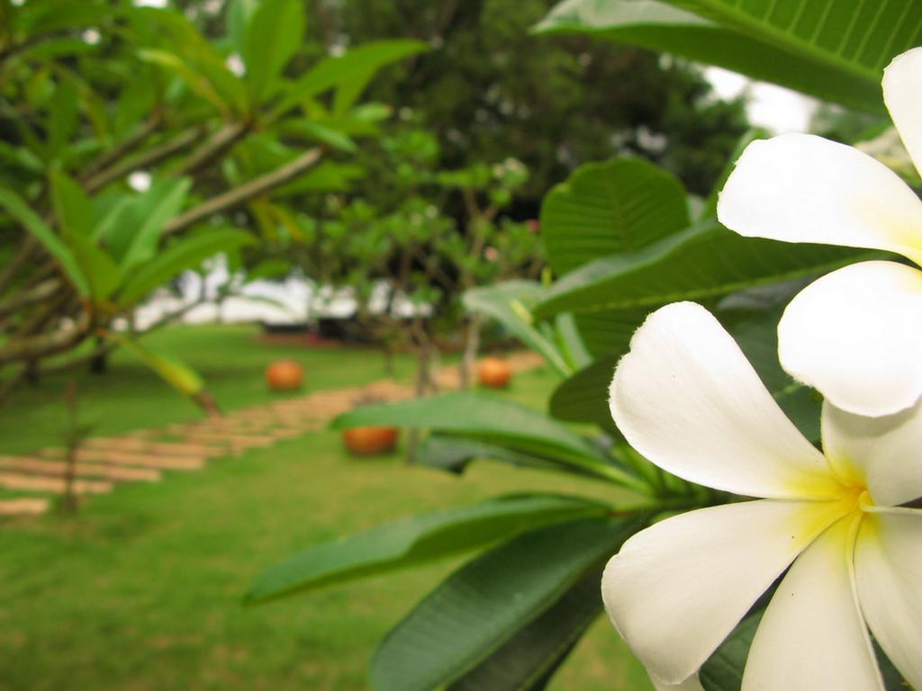 Baan Pun Sook Resort Chao Lao Beach Exterior foto